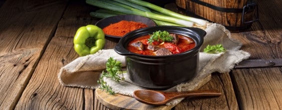 A real Hungarian goulash with beef and paprika