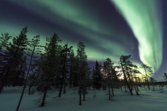 Northern Lights (Aurora borealis), Muddus National Park, Laponia World Heritage Site, Norrbotten,