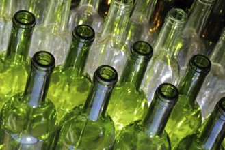 Wine bottles
