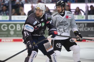 Balver Zinn Arena, Iserlohn, North Rhine-Westphalia, Branden Troock (Iserlohn Roosters, #71), Adam