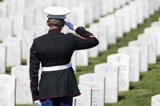 A poignant moment unfolds as a Marine plays taps, honoring a fallen veteran with a solemn salute,