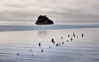 Cook Strait Collingwood New Zealand Ocean Island