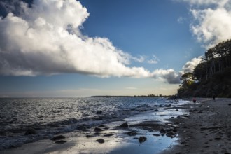 Baltic Sea beach