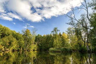 Krutynia River in Masuria in eastern Poland