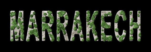 Marrakech Reforestation and Biophilia, Marrakech Green Typography
