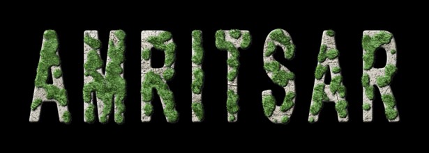 Amritsar Reforestation and Biophilia, Amritsar Green Typography