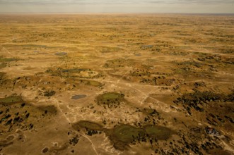 Bushes, gravel roads, sky, waterholes, Kavango Region, Namibia, Africa