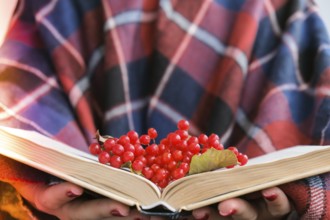 Stylish red female nails. Hands Holding Red Currants and reading book. Modern Beautiful manicure.