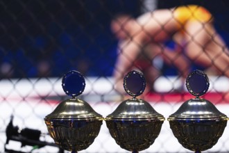 Cups standing in front of the ring where the fight takes place