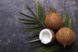 Coconut over black rustic background. Organic healthy food concept
