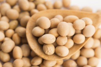 Soybeans on wooden background