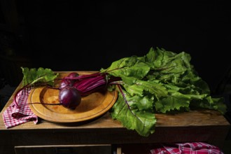 Botwina, Rustic Young Beetroot