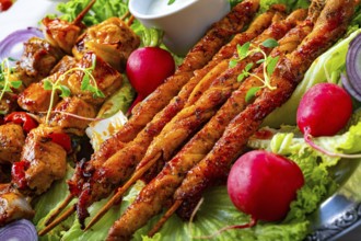 Grilled szaszlyk and meatballs with green salad