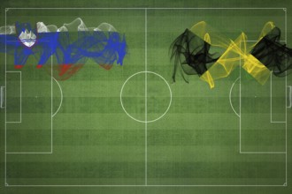 Slovenia vs Jamaica Soccer Match, national colors, national flags, soccer field, football game,
