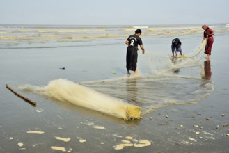 Fisher women at work, Kalagam Beach, Valsad, Gujarat, India, Asia