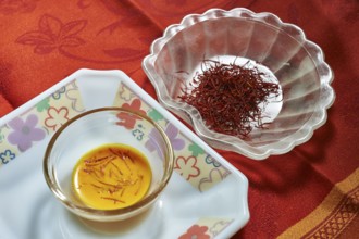 Kesar soaked in milk, India, Asia