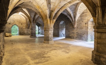 Cellars, Dunfermline Abbey, Fife, Scotland, United Kingdom, Europe