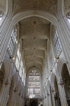 Interior view, ceiling, stained glass window, Bath Abbey, Bath, England, Great Britain