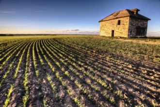 Sunset Light Saskatchewan Farm abandoned Stone House