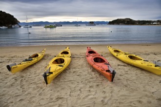 Golden Sand Beach New Zealand Abel Tasman National Park kayak