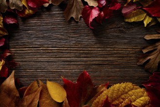 Autumn fall frame golden red leaves on wood background copy space