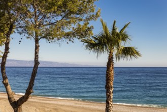 Sicilian waterfront with palm trees and golden beach