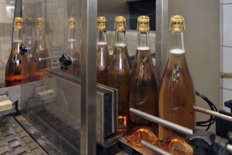 Sparkling wine bottling