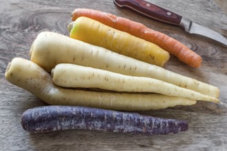 Carrot varieties