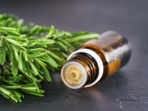 Rosemary essential oil in dark glass bottle and fresh rosemary on dark background with copy space