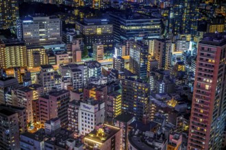 Tokyo night view as seen from Tokyo Tower. Shooting Location: Tokyo metropolitan area