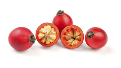 Rosehips (Rosa Canina fruits), one cut in half isolated on white background, Liptovsky Hradok,