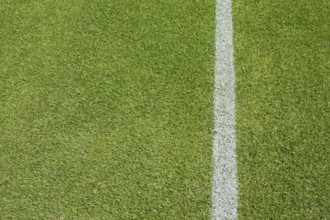 White line on the grass at soccer playing field in Lubin, Poland, Europe
