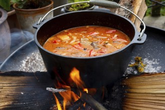 Kettle Gulash is prepared over an open fire!