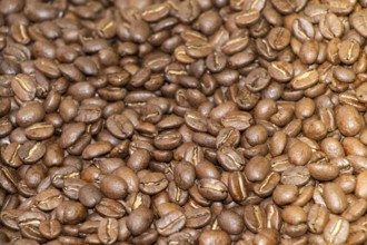 Coffee beans texture or coffee beans background
