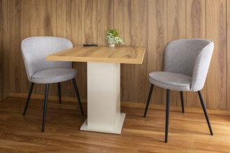 Modern gray chairs and table with plant in living room interior, wooden wall background