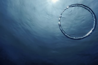 Bubble Ring Underwater, Ring Bubble