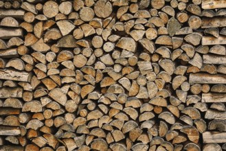 Natural Background of Stack of Wood Bolsternang, Germany, Europe