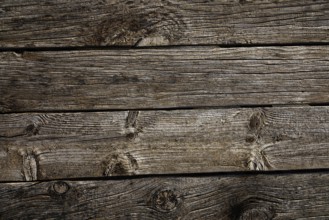 Grunge weathered wooden board of gray wood of pine