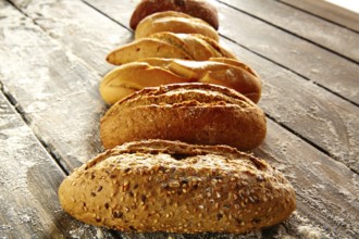 Breads varied in a row on rustic wood table with wheat flour