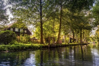 Main Spree, dwelling house with fish box, village exit downstream towards Lübbenau, river Spree,