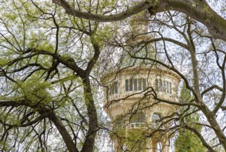A picture of the Margaret Island Water Tower