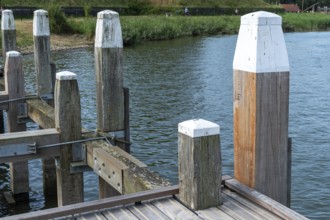 Large white wooden piles with white head on the pier