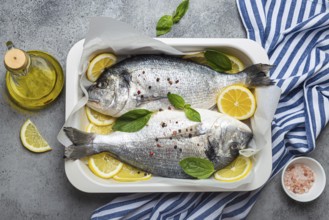 Raw fish dorado in casserole dish with ingredients lemon, fresh basil, bottle of olive oil on