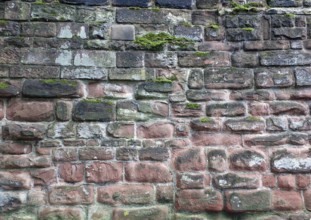 Full frame image of an ancient sandstone wall in red and black colors with sodd and algae growing