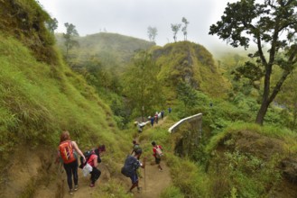 DSC_0794-1.jpg