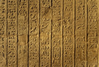 Ancient egypt images and hieroglyphics on wall