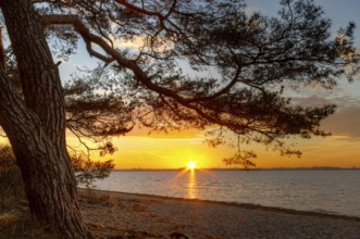 Sunset on the beach