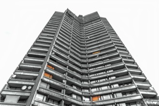 Low angle view with a skyscraper tower, black and white