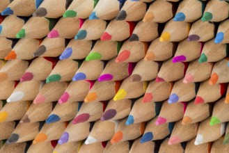 Abstract composition of a set cedar wooden colour pencils
