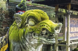 Old statue in Hindu temple in Sacred Monkey Forest, Ubud, Bali, Indonesia, Asia